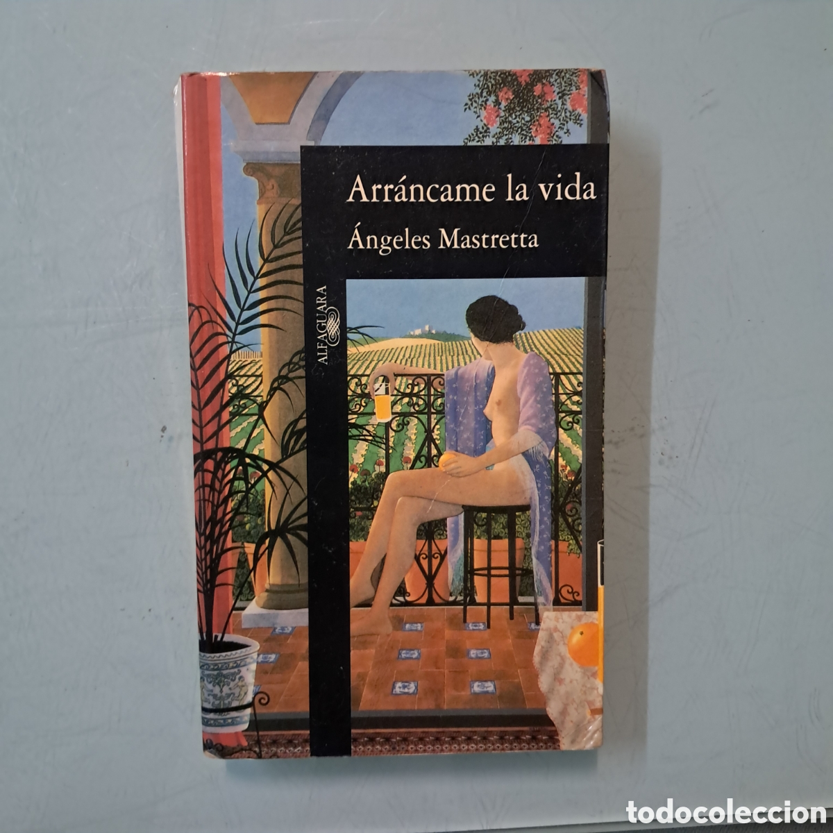 Libros: &Aacute;ngeles Mastretta,Arrancarme la vida, Alfaguara - Foto 1