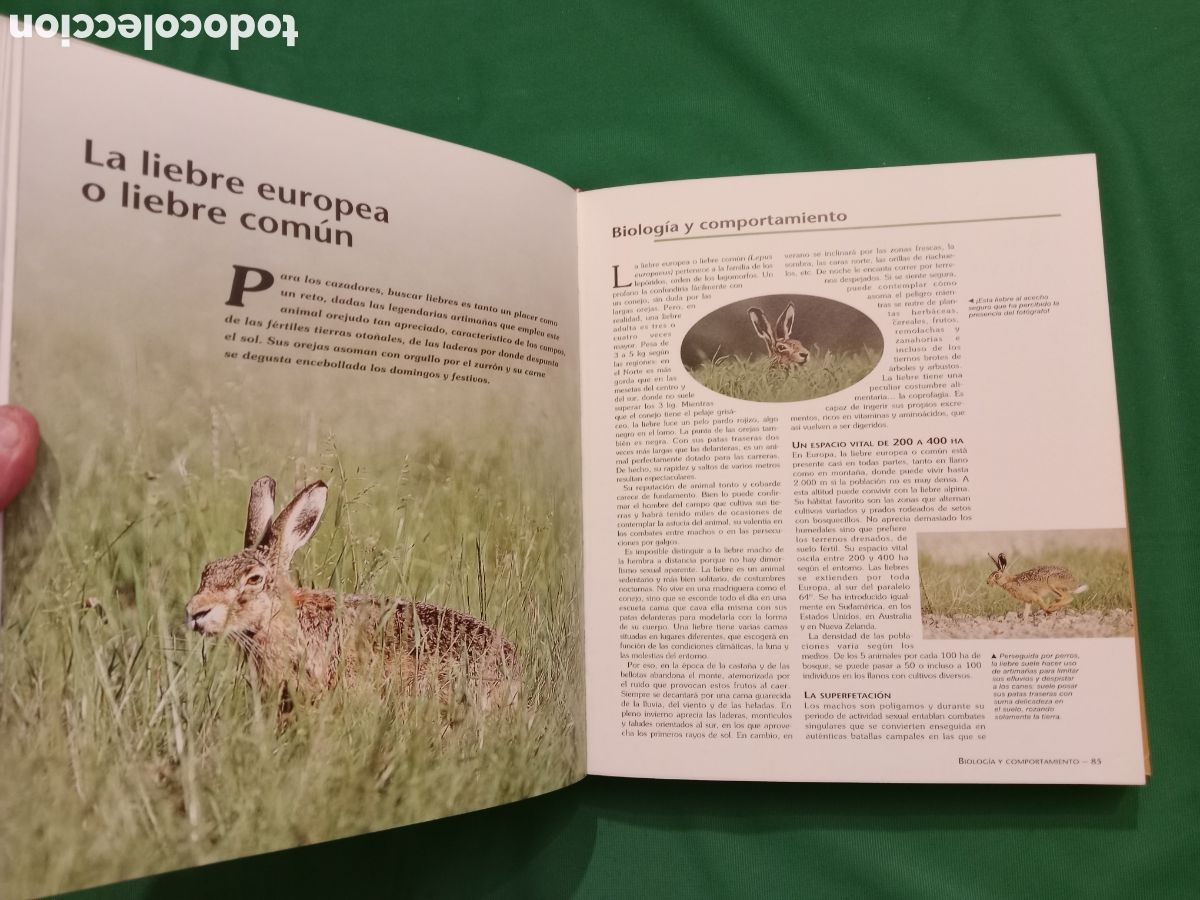 Libros: Atlas ilustrado de la caza. - Foto 3