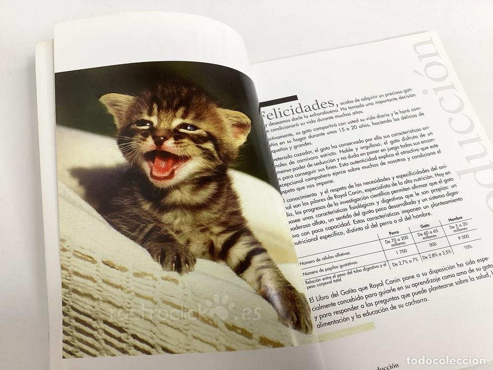 Libros: El libro del Gatito &ndash; Royal Canin 2001 - Foto 4