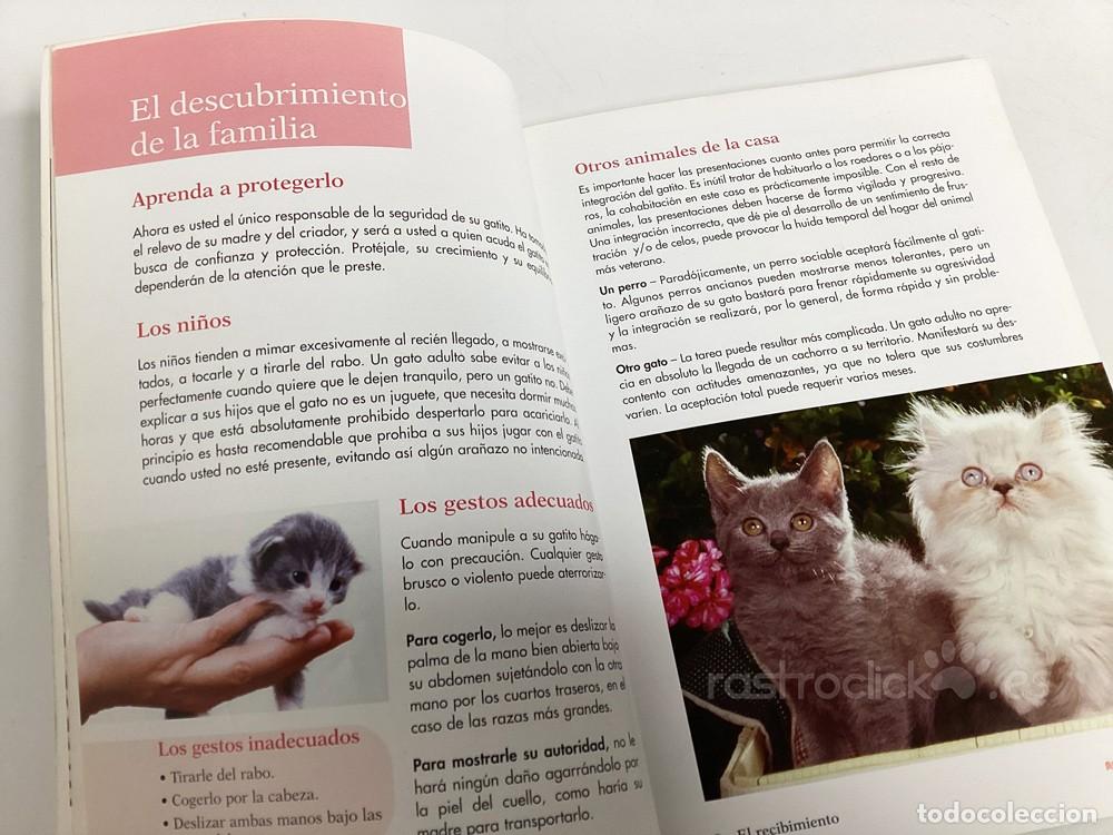Libros: El libro del Gatito &ndash; Royal Canin 2001 - Foto 5