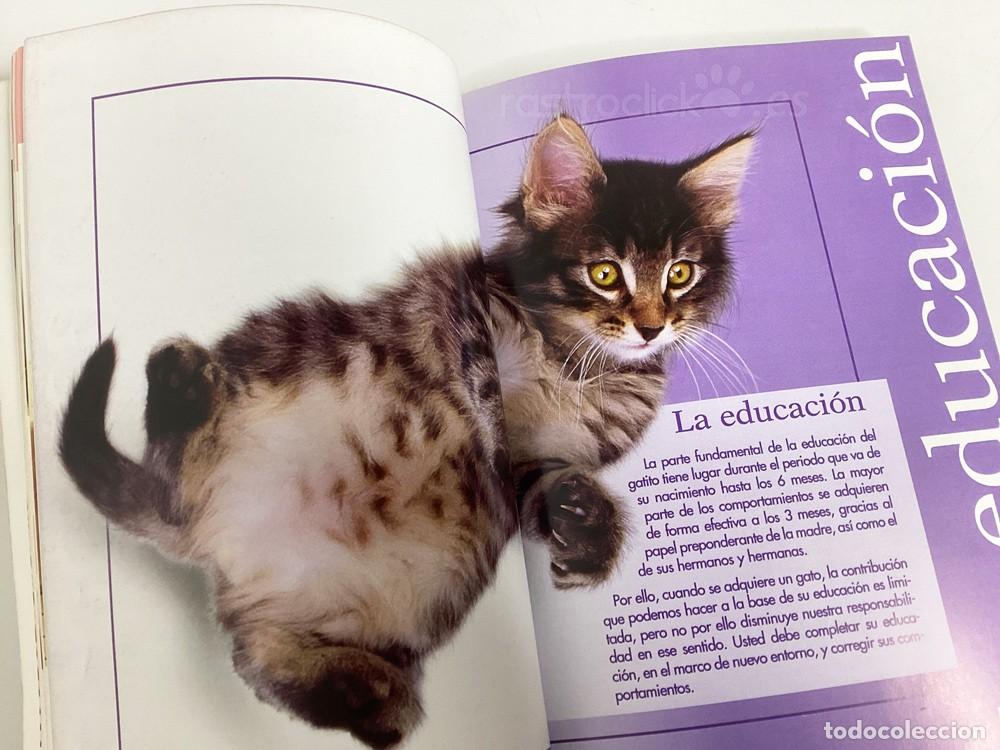 Libros: El libro del Gatito &ndash; Royal Canin 2001 - Foto 6