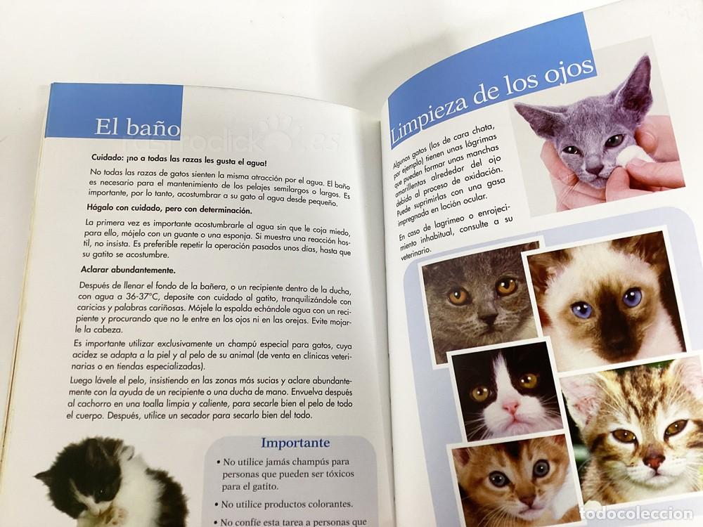 Libros: El libro del Gatito &ndash; Royal Canin 2001 - Foto 7