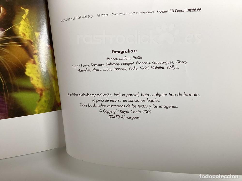 Libros: El libro del Gatito &ndash; Royal Canin 2001 - Foto 8