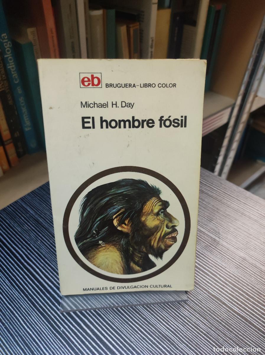 Libros: EL HOMBRE F&Oacute;SIL- MICHAEL H. DAY - Foto 1