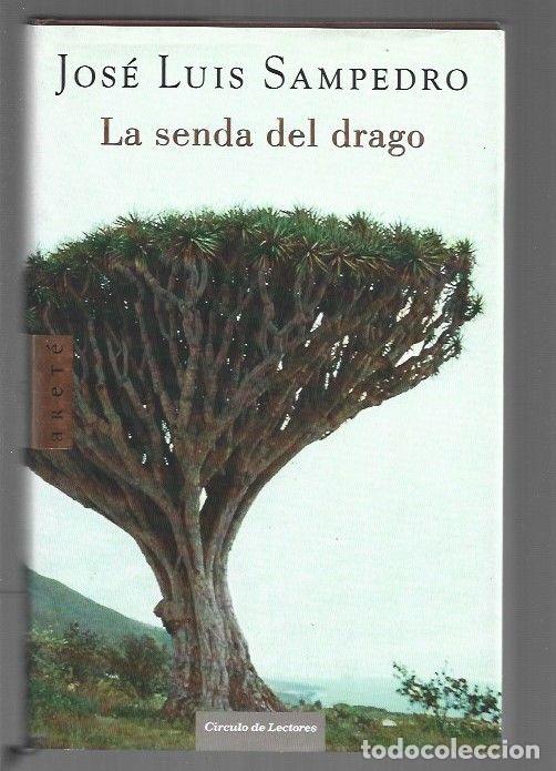 Libros: SENDA DEL DRAGO - LA - SAMPEDRO, JOSE LUIS - Foto 1