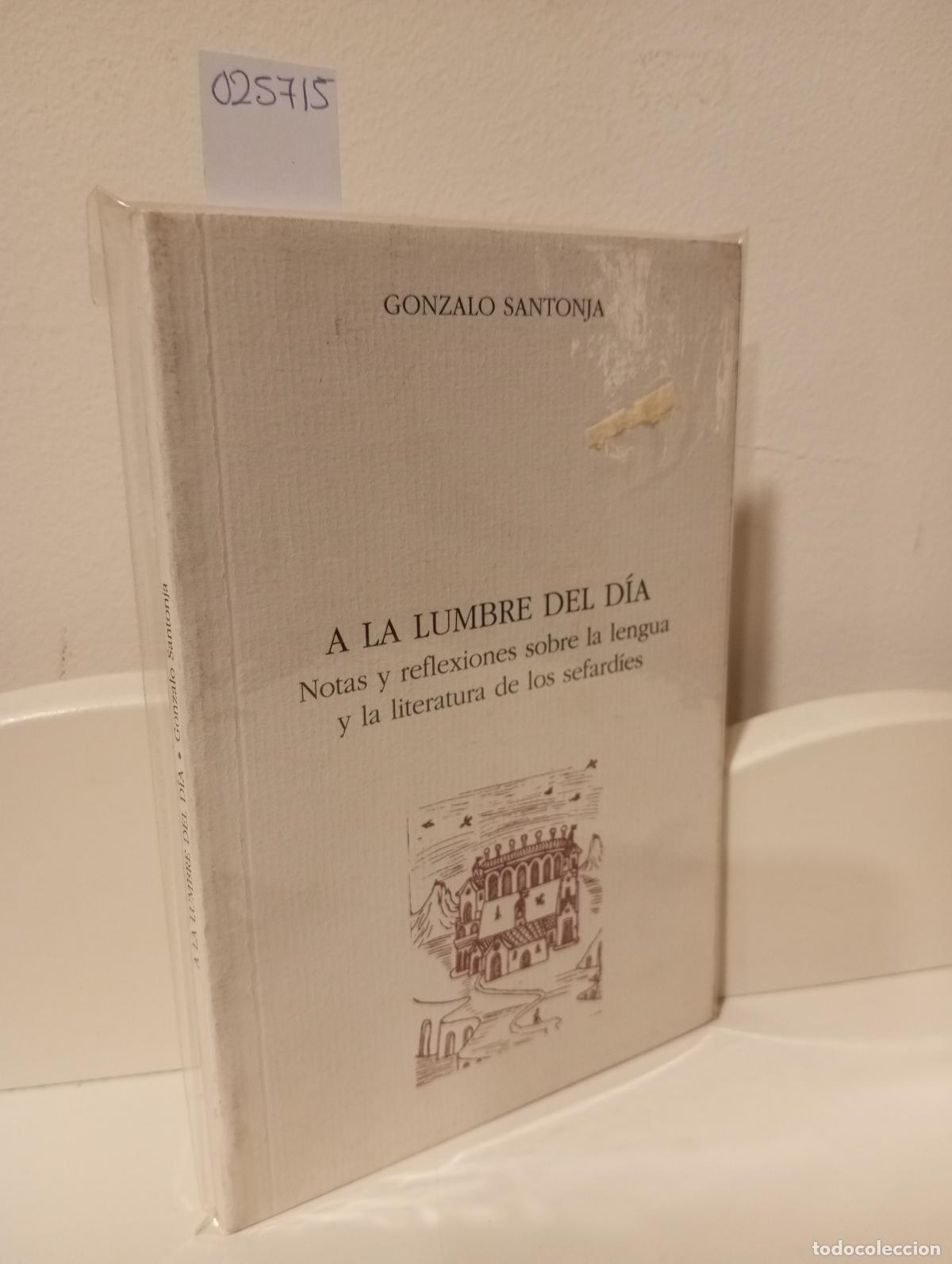 B&uuml;cher: A LA LUMBRE DEL DIA. NOTAS Y REFLEXIONES SOBRE LA LENGUA Y LA LITERATURA DE LOS SEFARD&Iacute;ES - Santonja