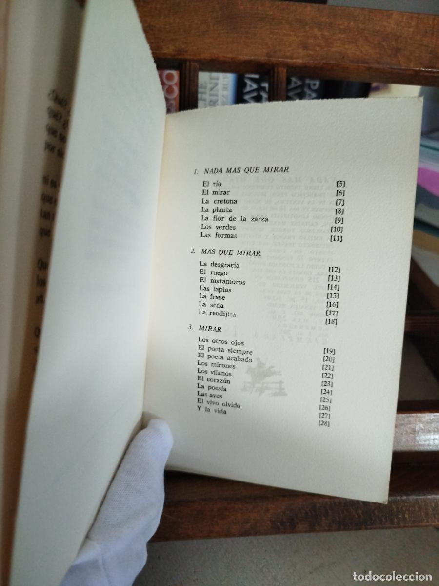 Libros: Nada m&aacute;s que mirar - Pino, Francisco (1910-2002) - Foto 3