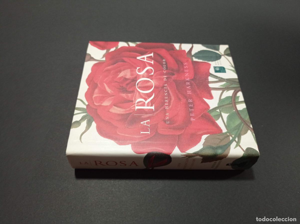 Libros: 2005 - PETER HARKNESS. La Rosa. Una herencia de color - Foto 1