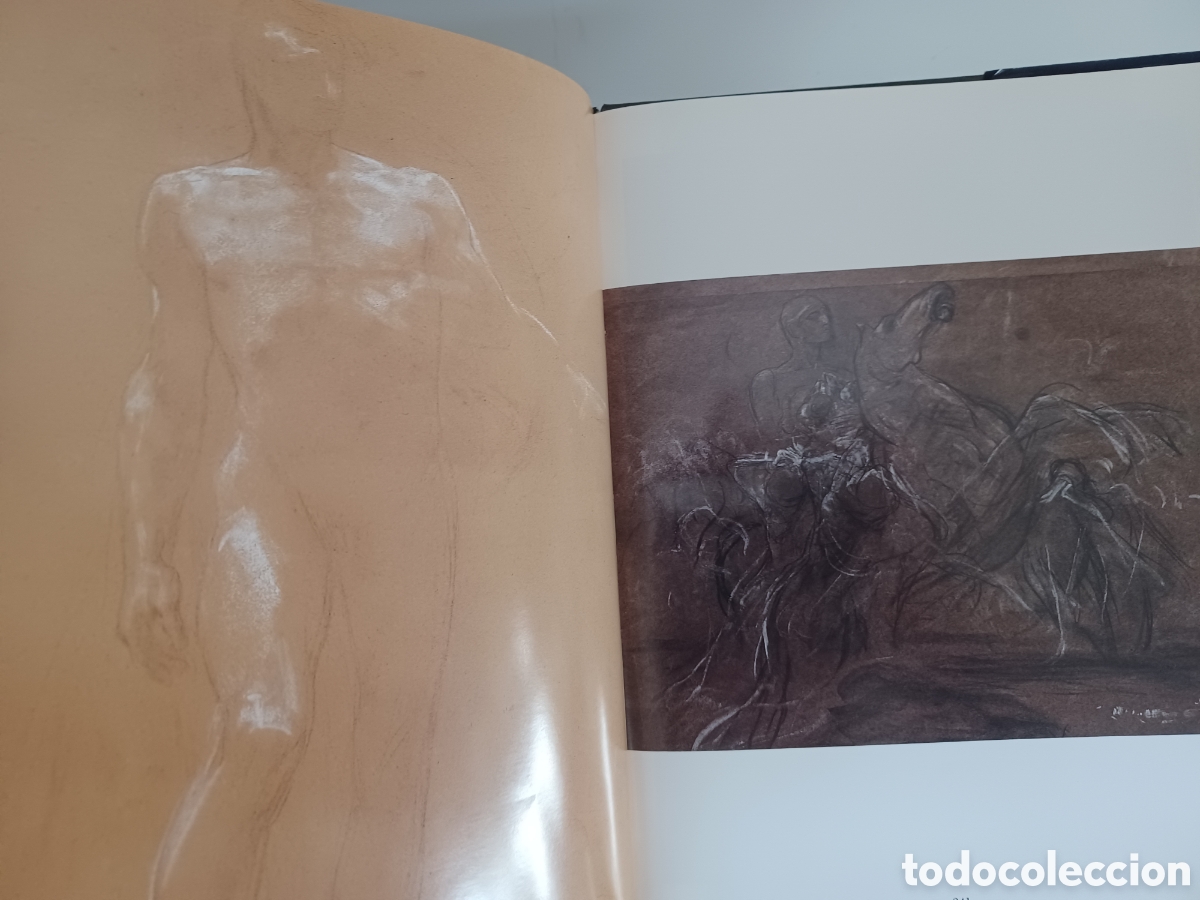 Libros: El esp&iacute;ritu ol&iacute;mpico/ Elsi Spazari/ Adam, 1992 - Foto 7
