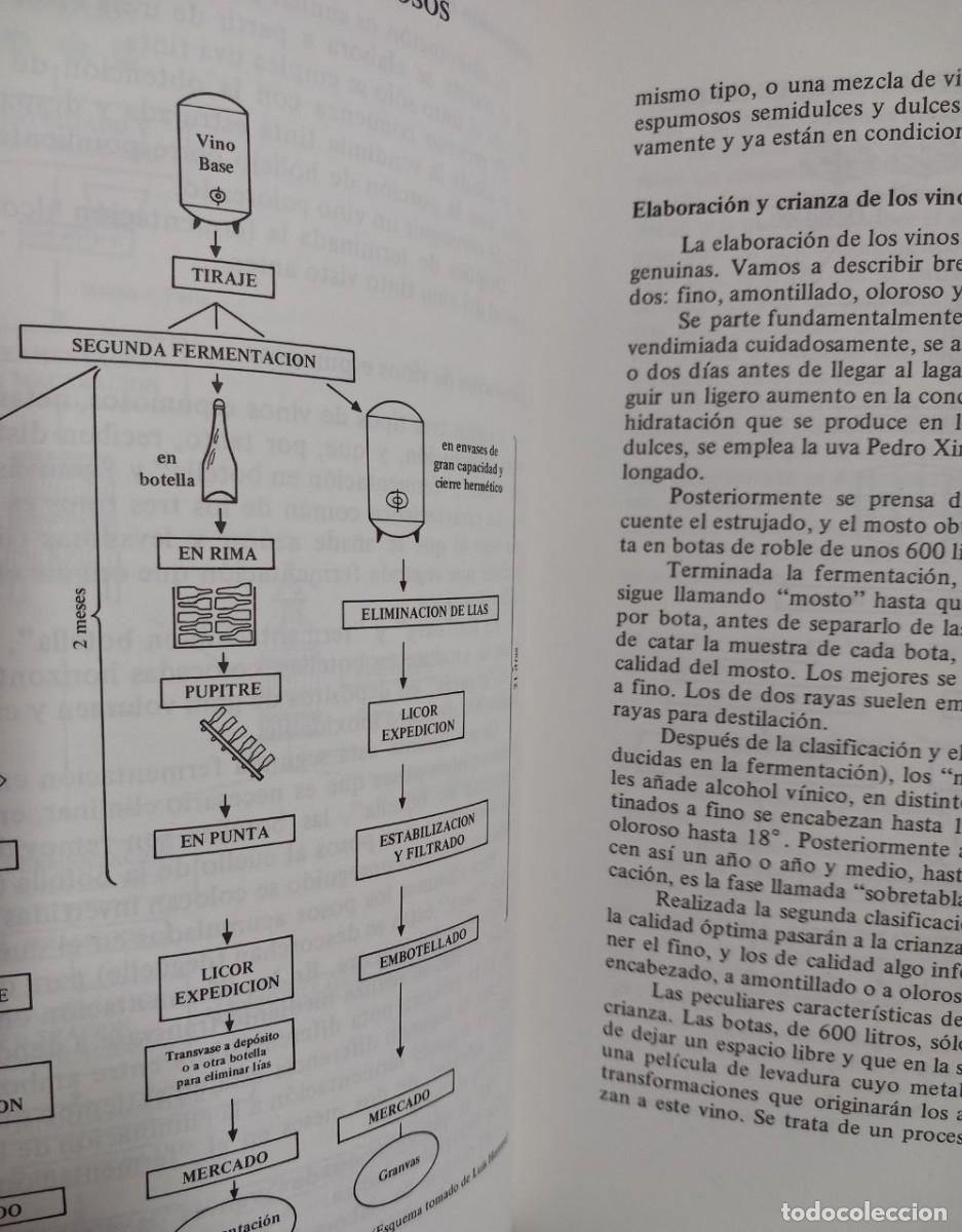 Libros: La cata de vinos. Editorial Agr&iacute;cola Espa&ntilde;ola. - Foto 6