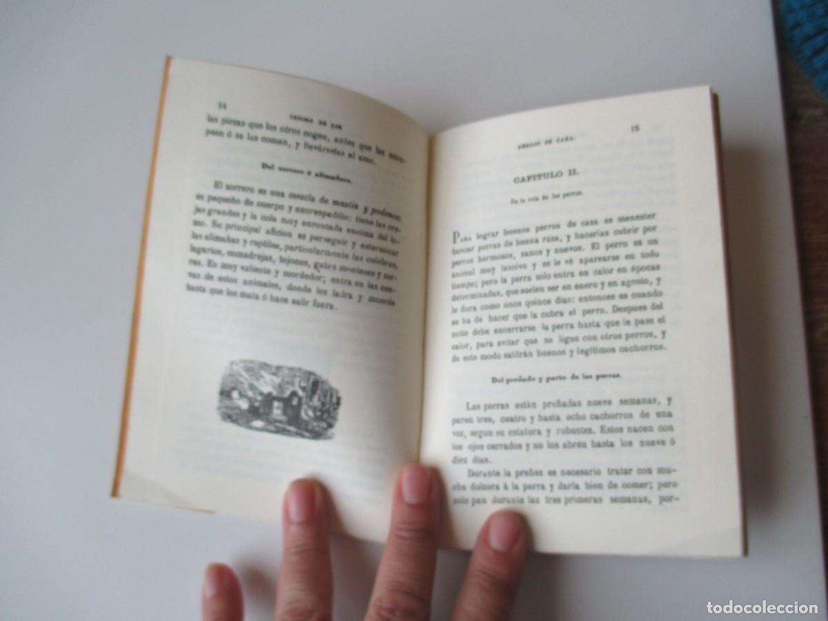 Libros: TESORO DE LOS PERROS DE CAZA (facsimil) W34775 - Foto 2
