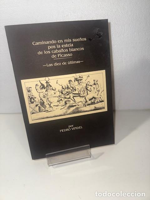 Libros: CAMINANDO EN MIS SUE&Ntilde;OS POS LA ESTELA DE LOS CABALLOS BLANCOS DER PICASSO PEDRO VINDEL