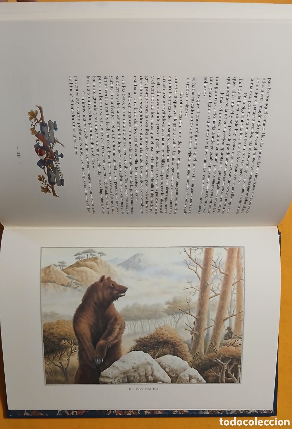 Libros: Anecdotas, relatos y escenas de caza - Foto 6