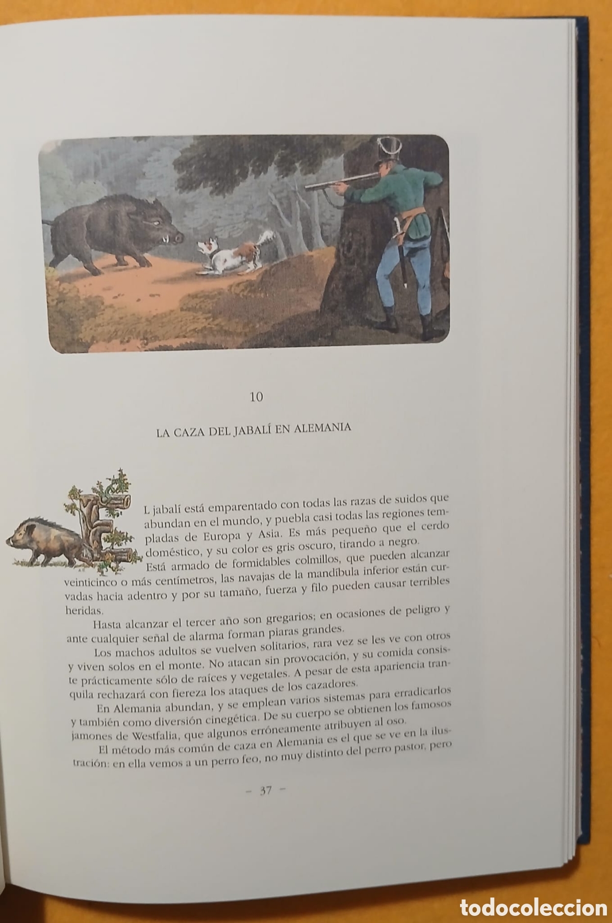 Libros: Anecdotas, relatos y escenas de caza - Foto 8