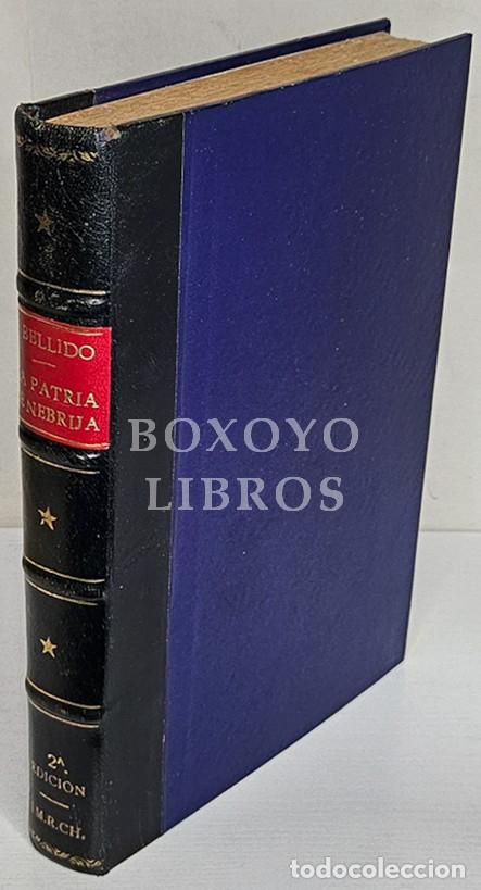 Libri di seconda mano: BELLIDO AHUMADA, Jos&eacute;. La patria de Nebrija