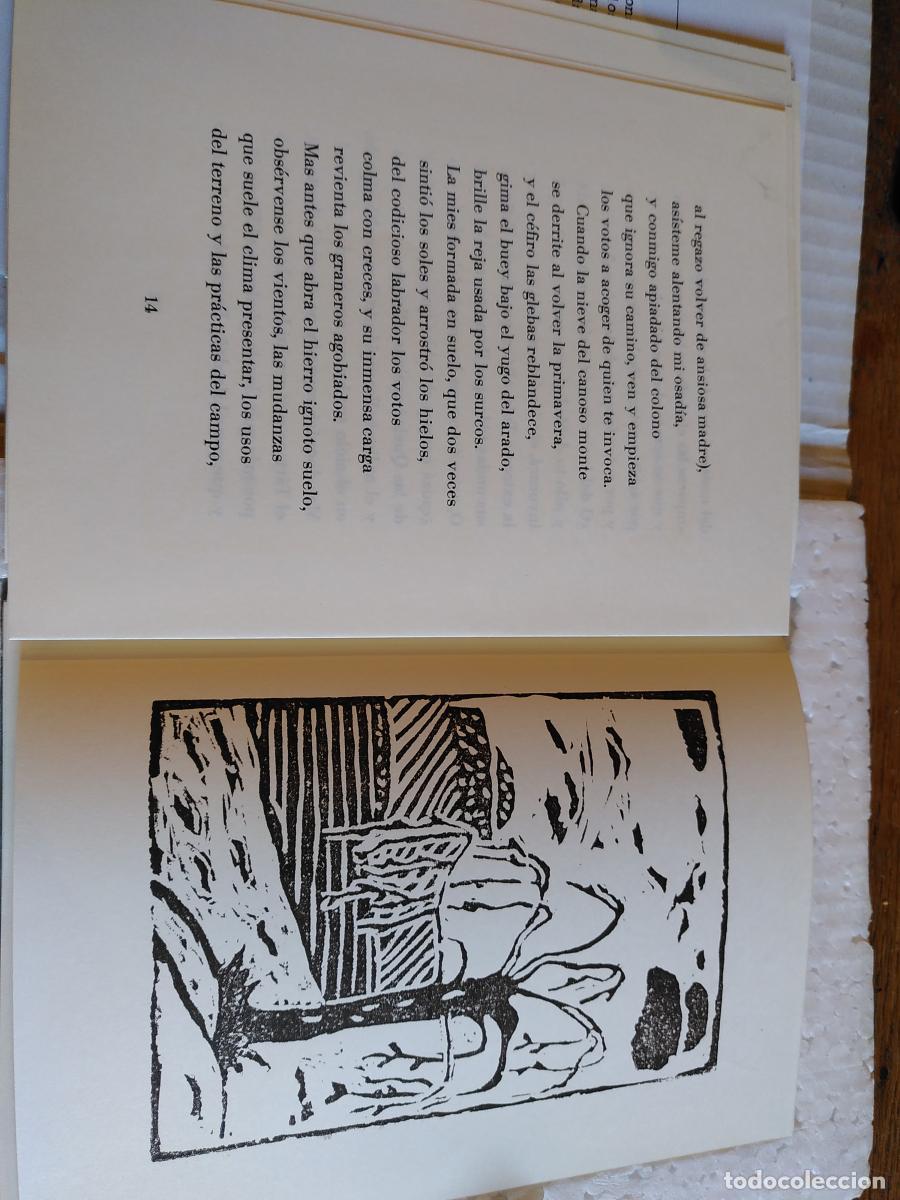 Libros: LAS GE&Oacute;RGICAS. Libro primero - Virgilio - Foto 3