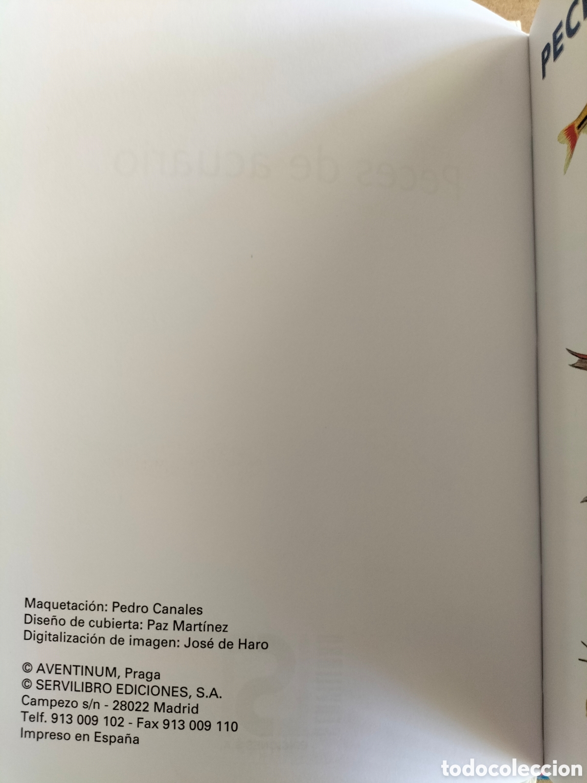Libros: Manual de peces de acuario. Servilibro ediciones. Libro - Foto 4