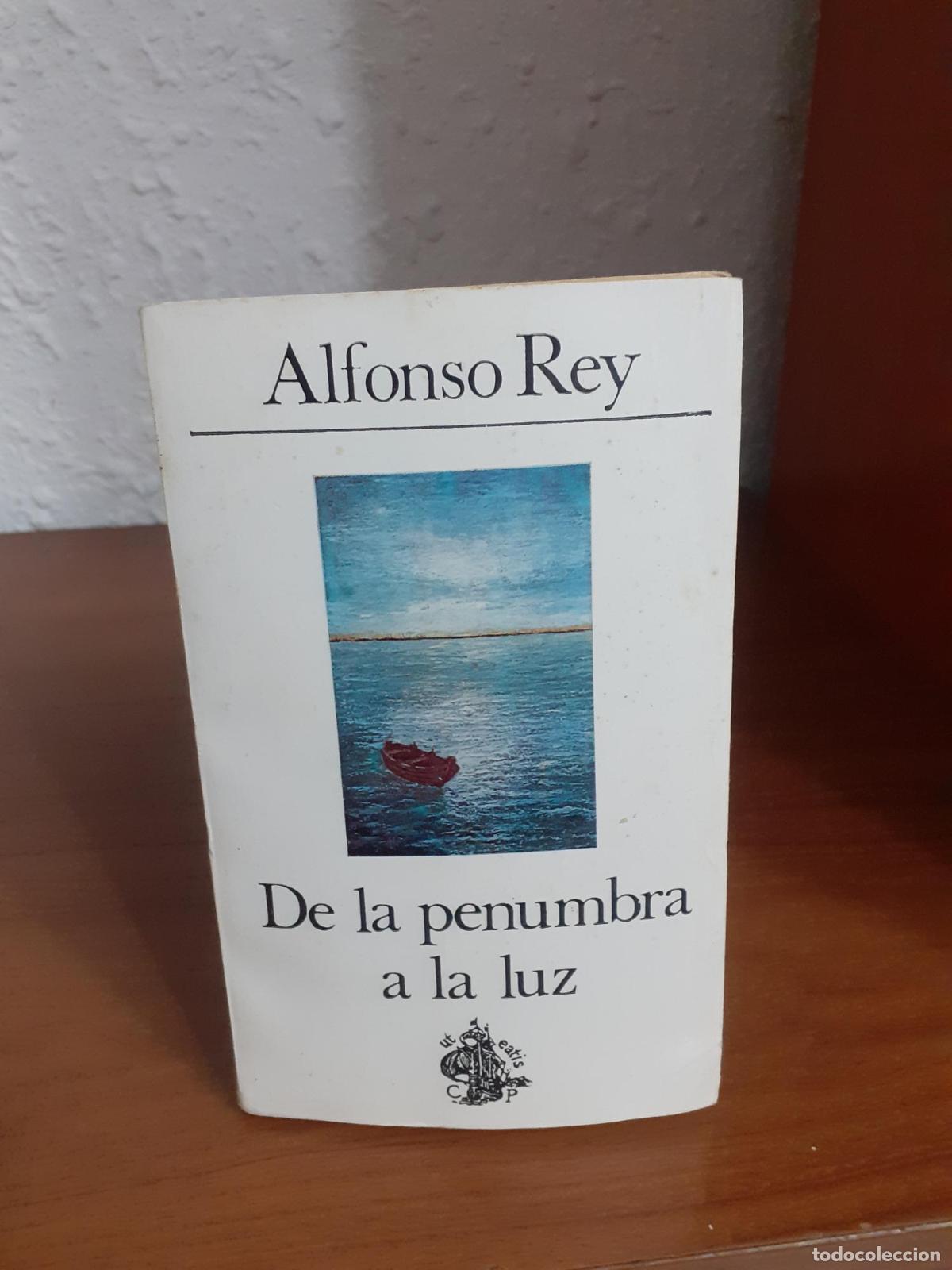 Libros: De la penumbra a la luz - Rey Mart&iacute;nez, Alfonso - Foto 1