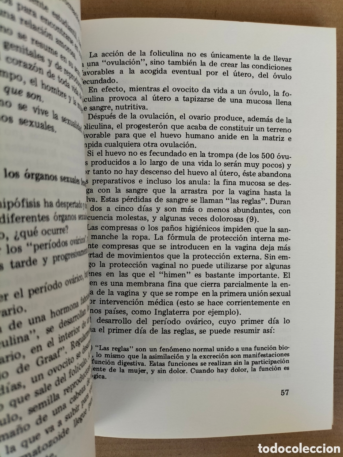 Libros: Libro de la vida y el amor. Vol IV. Bernarda Bernadette Delarge. Ediciones stvdivm, 1975 - Foto 8