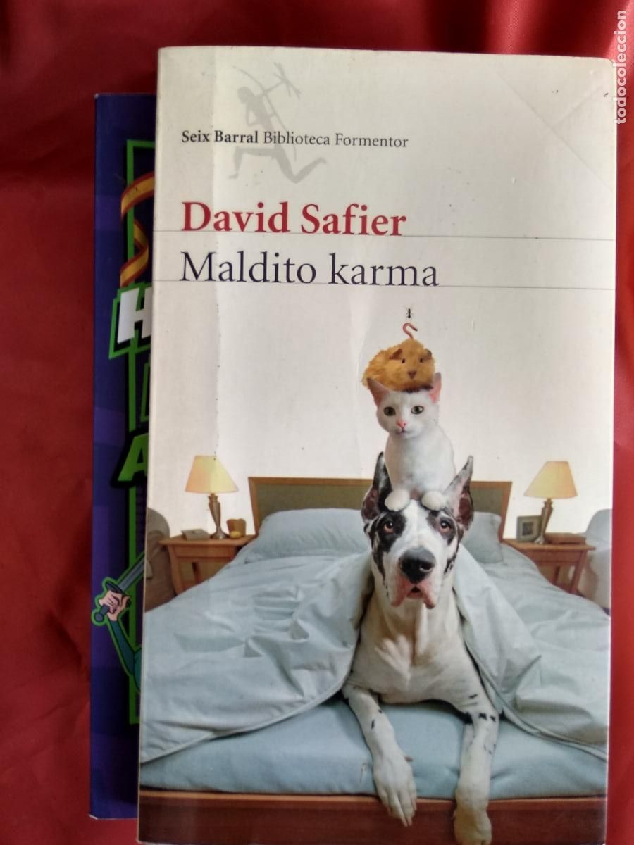 Libros: Maldito karma David Safier L.3116-1295 - Foto 1