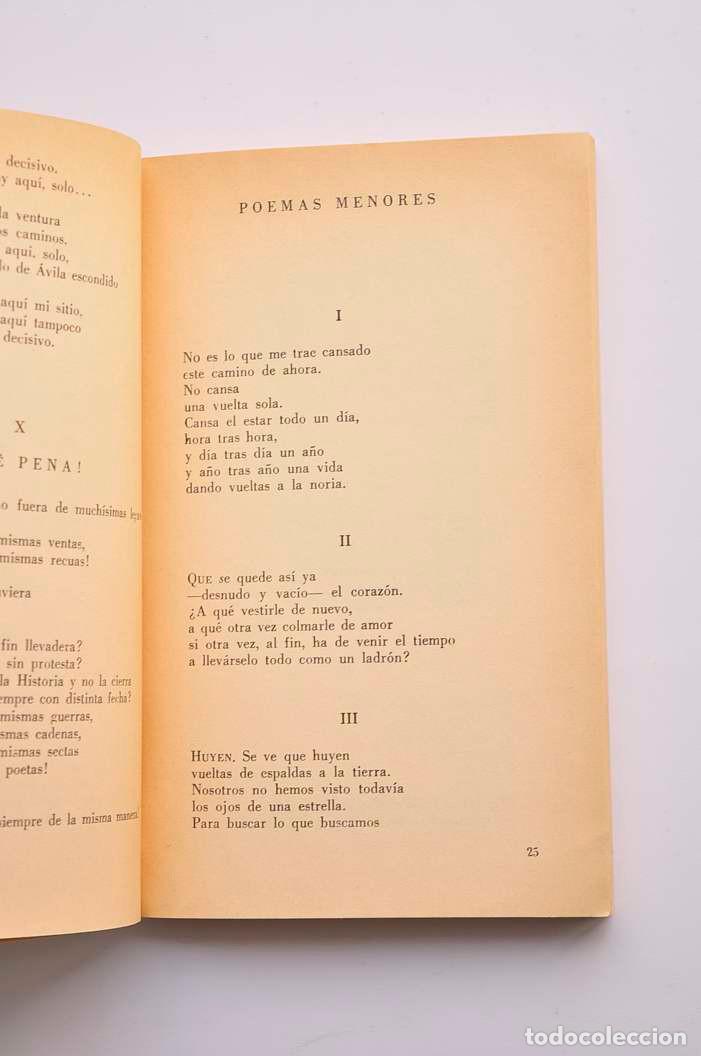 Libros: Antolog&iacute;a rota - FELIPE, Le&oacute;n - Foto 3