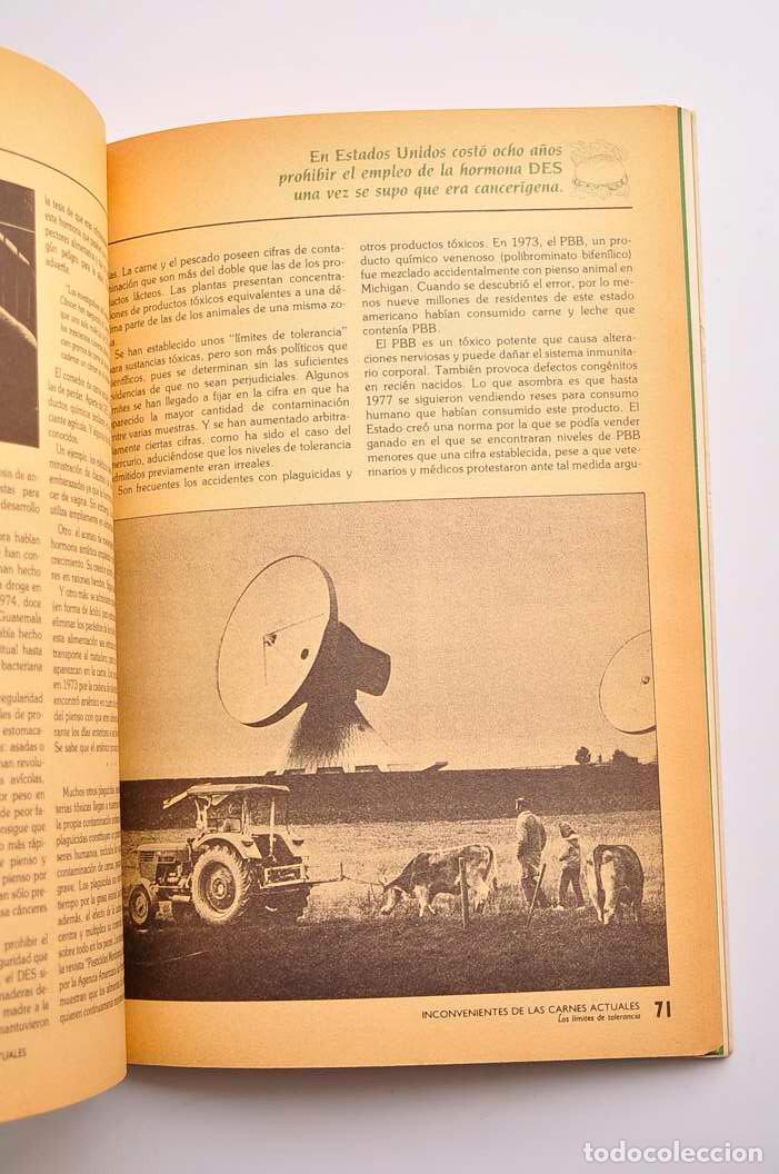 Libros: La alternativa vegetariana - SUSSMAN, Vic - Foto 4