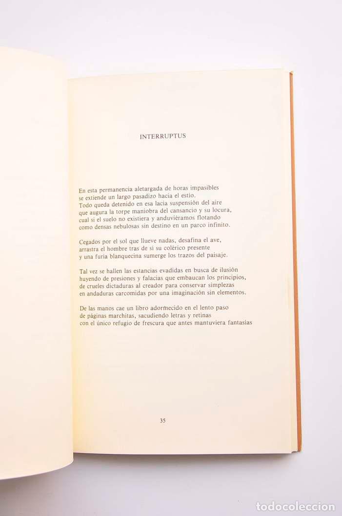 Libros: Sobre cenizas - P&Eacute;REZ COQUILLANT, Emma - Foto 3