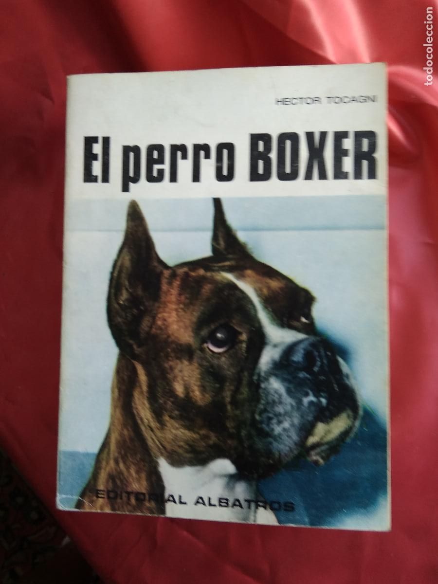 Libros: El perro Boxer Hector Tocagni L.4364-1639 - Foto 1