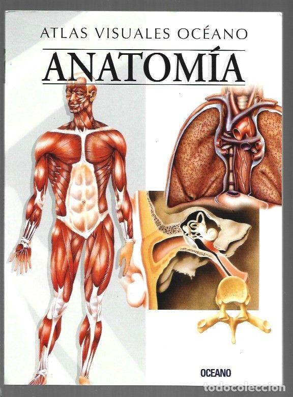Libros: ATLAS VISUALES OCEANO: ANATOMIA - VARIOS - Foto 1