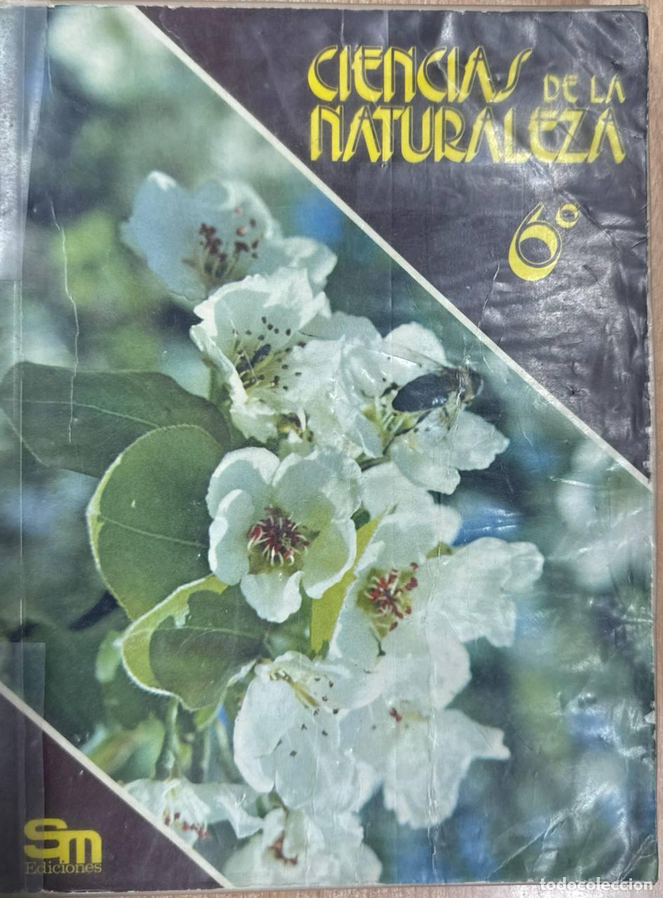 Libros: Ciencias De La Naturaleza 6 - Foto 1