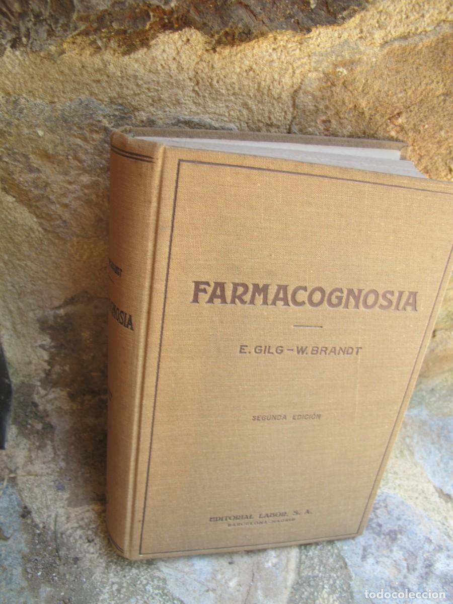 Libros: FARMACOGNOSIA. E. GILG, W. BRANT. LABOR - Foto 1
