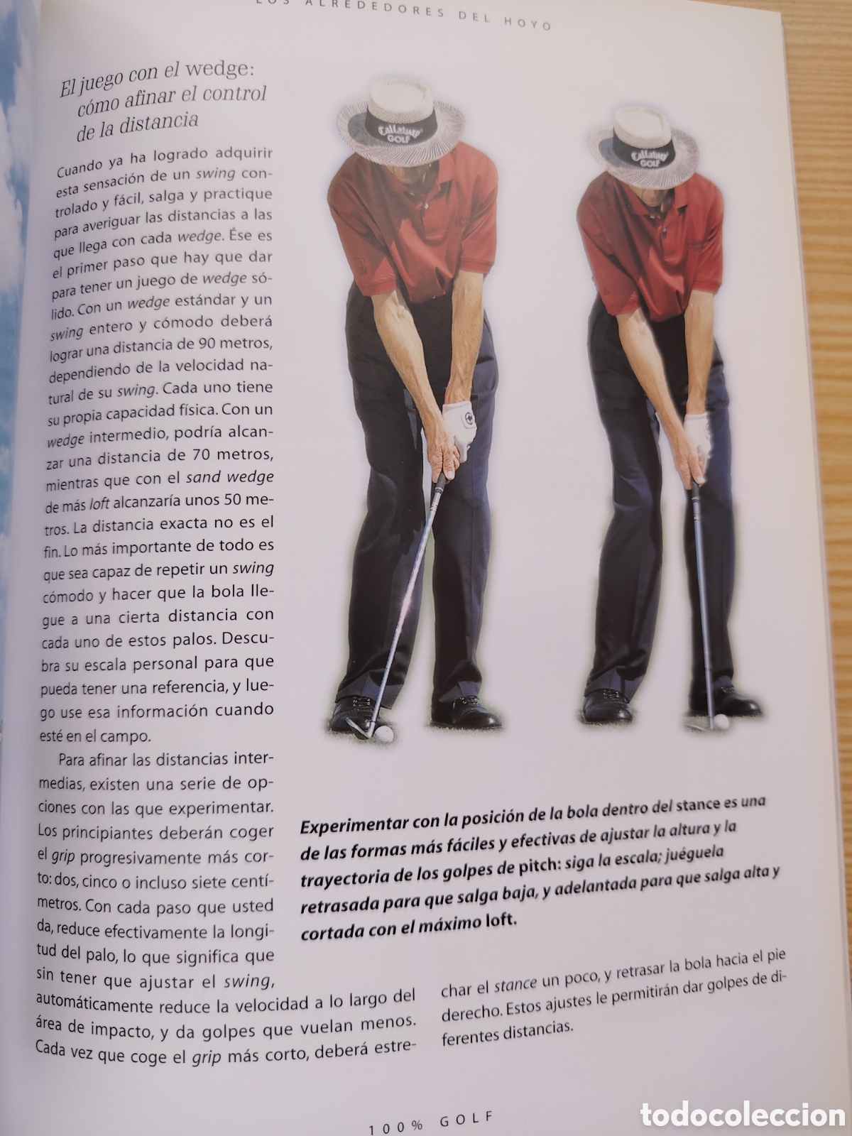 Libros: 100% golf. David Leadbetter - Foto 2