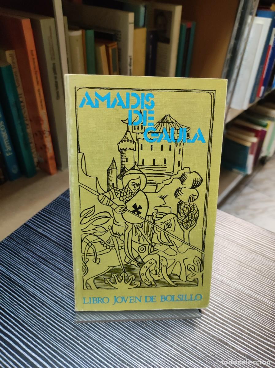 Libros: AMADIS DE GAULA LIBRO JOVEN DE BOLSILLO - Foto 1