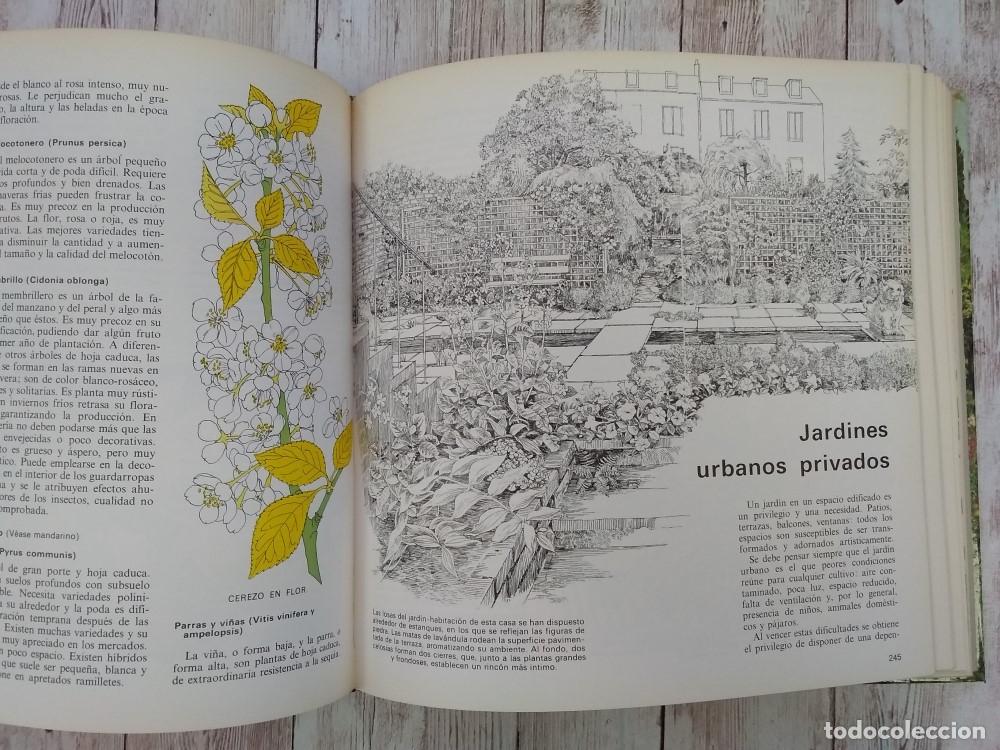 Libros: El libro del jard&iacute;n y la terraza - Adri&aacute;n Gonz&aacute;lez (ed) - Foto 3
