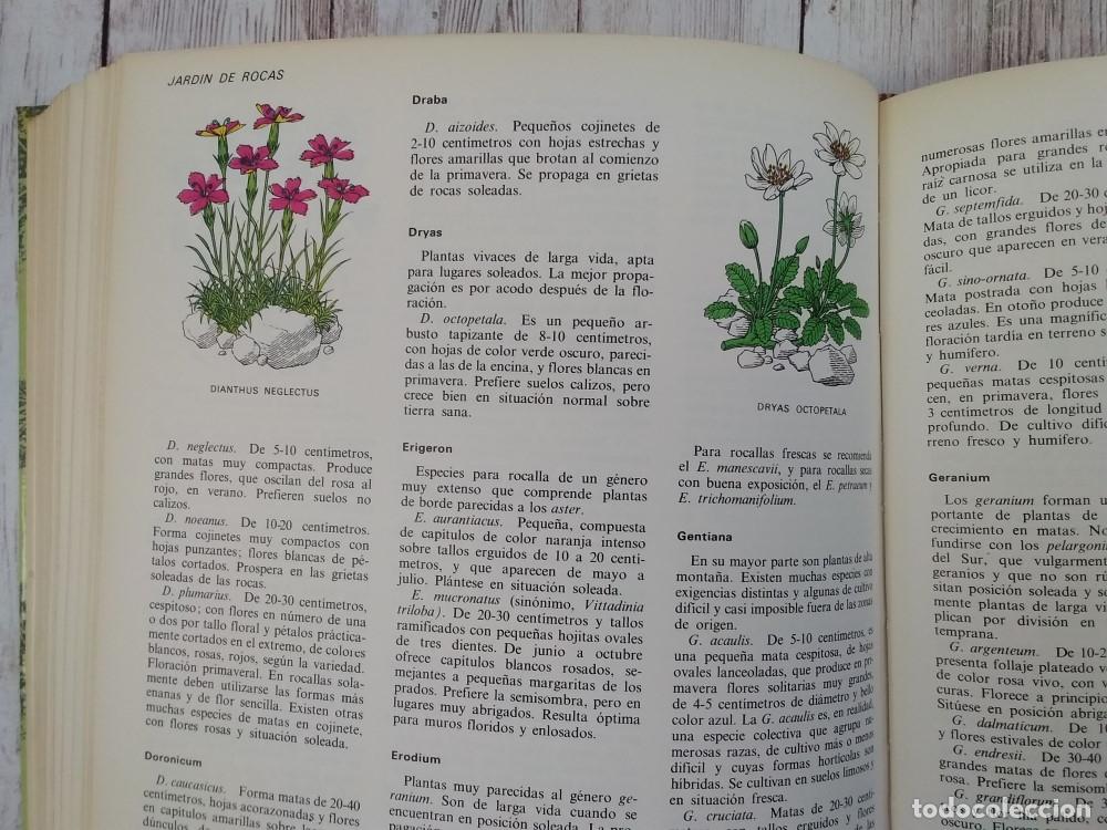 Libros: El libro del jard&iacute;n y la terraza - Adri&aacute;n Gonz&aacute;lez (ed) - Foto 4