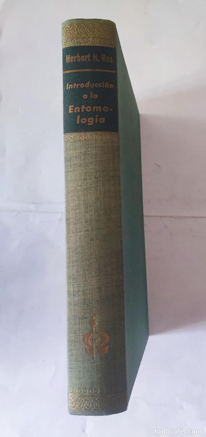 Libros: INTRODUCCI&Oacute;N A LA ENTOMOLOG&Iacute;A - Herbert H. Ross - Foto 2