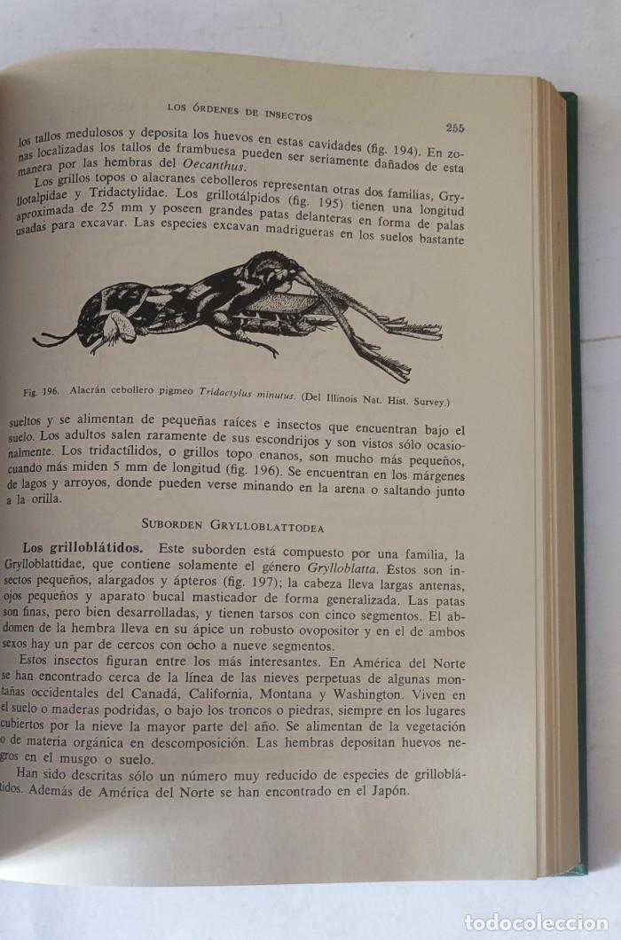 Libros: INTRODUCCI&Oacute;N A LA ENTOMOLOG&Iacute;A - Herbert H. Ross - Foto 4