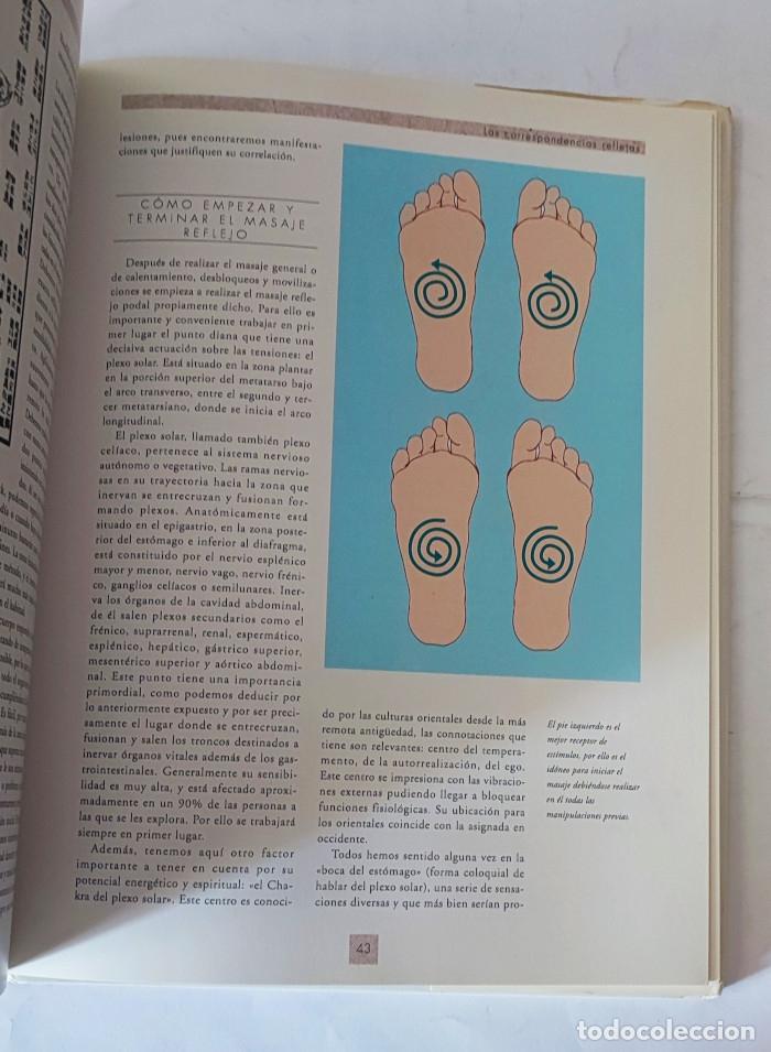 Libros: REFLEXOTERAPIA - Petra Almaz&aacute;n - Foto 2