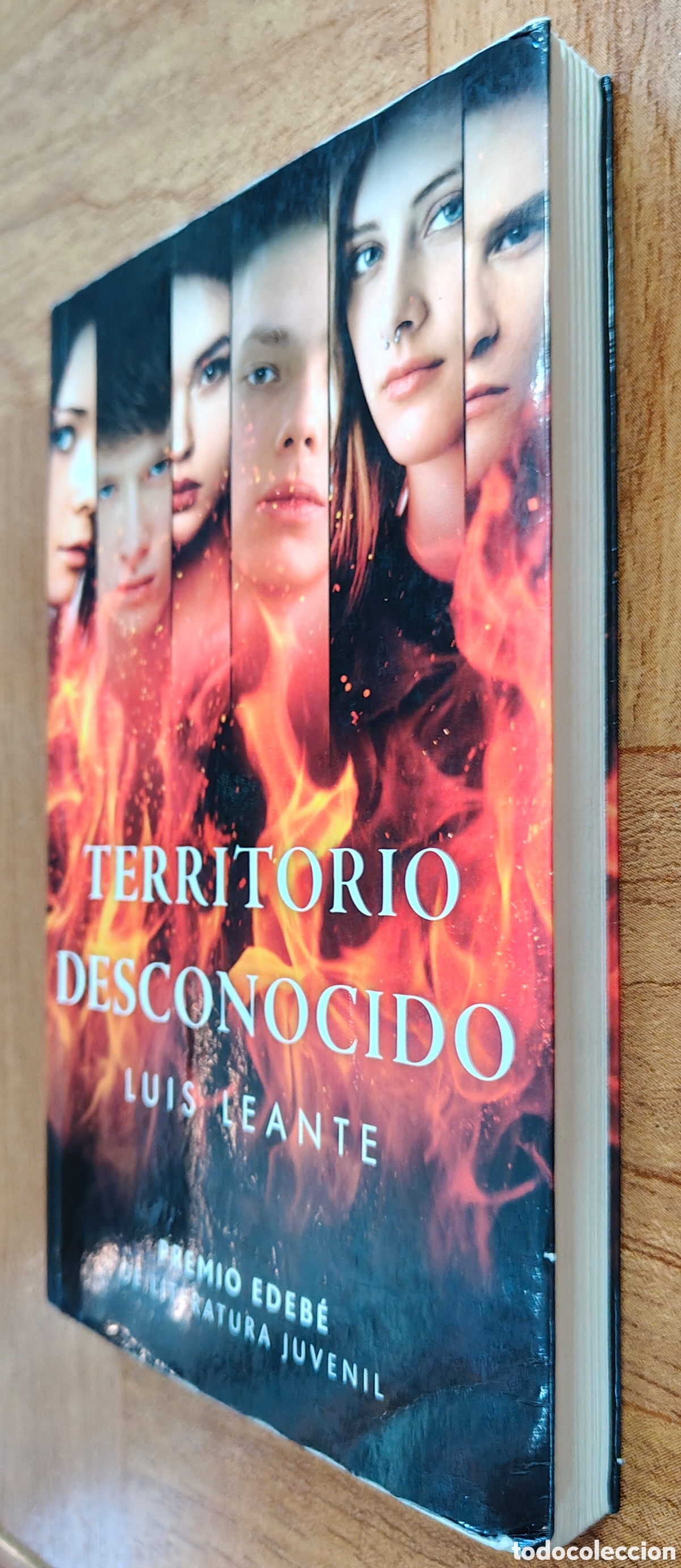 Libros: Territorio Desconocido - Luis Leante - Foto 2