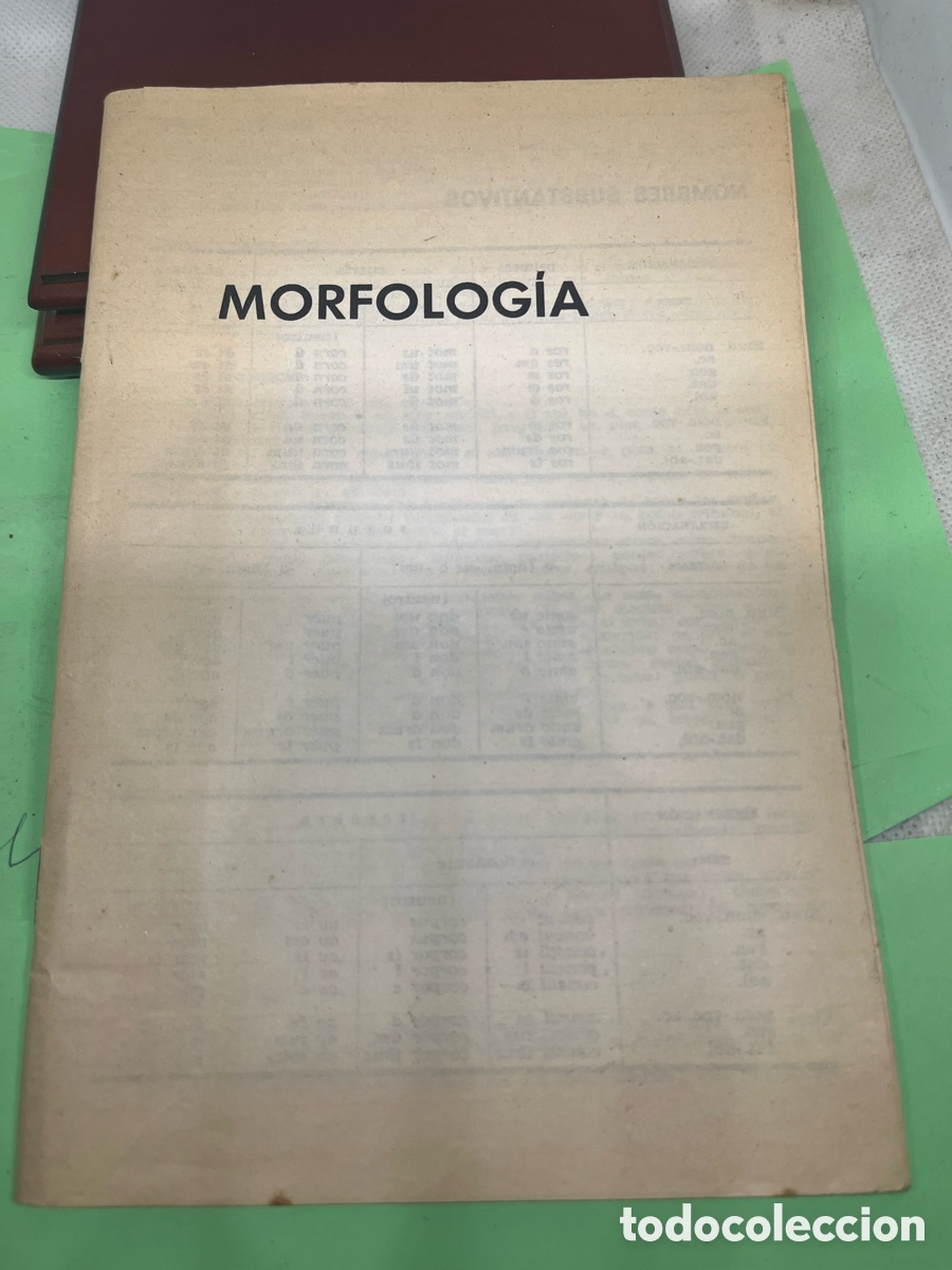 Libros: LIBRO &ldquo; MORFOLOG&Iacute;A ANTIGUO - Foto 1