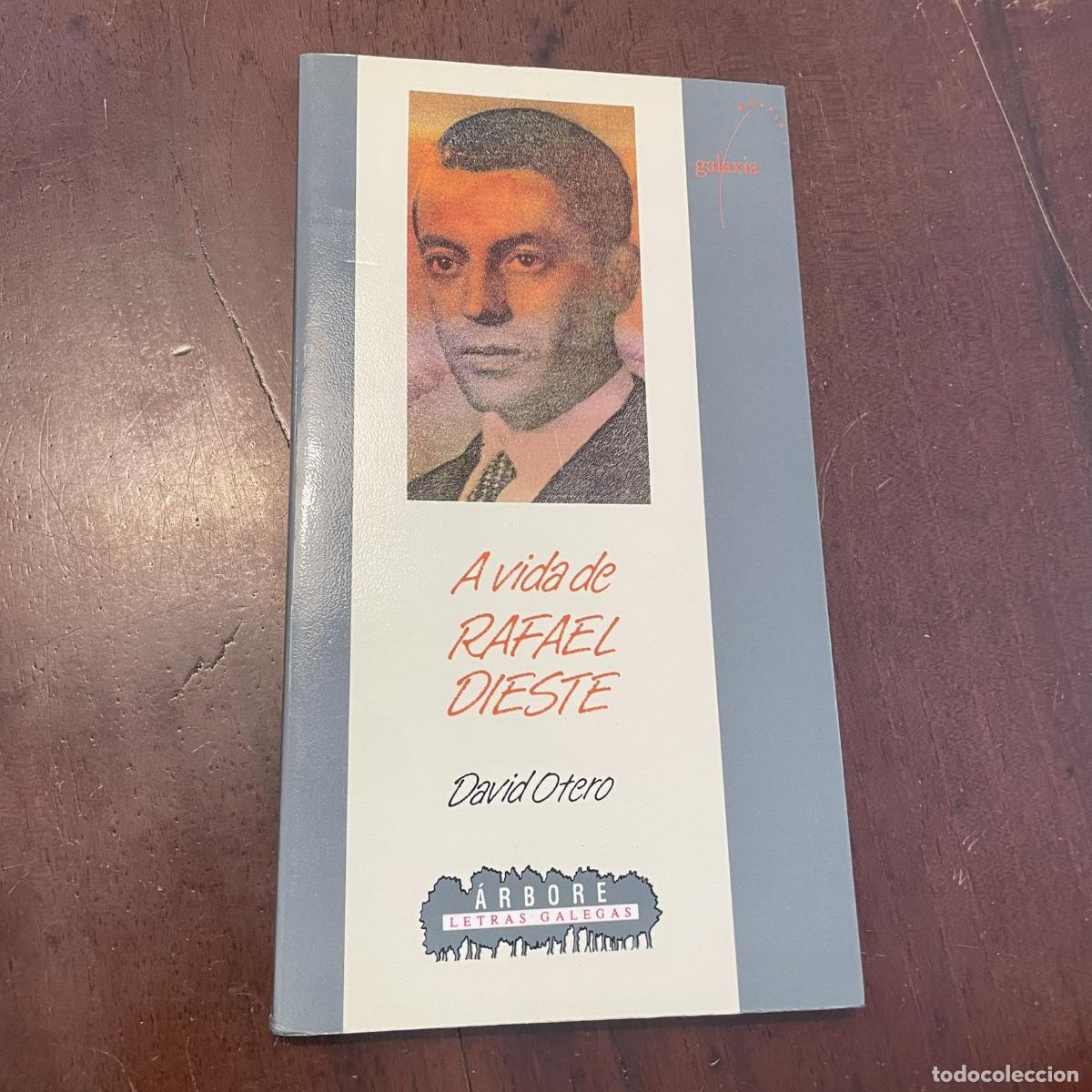 Libros: A vida de Rafael Dieste (galego) - Davis Otero - Foto 1