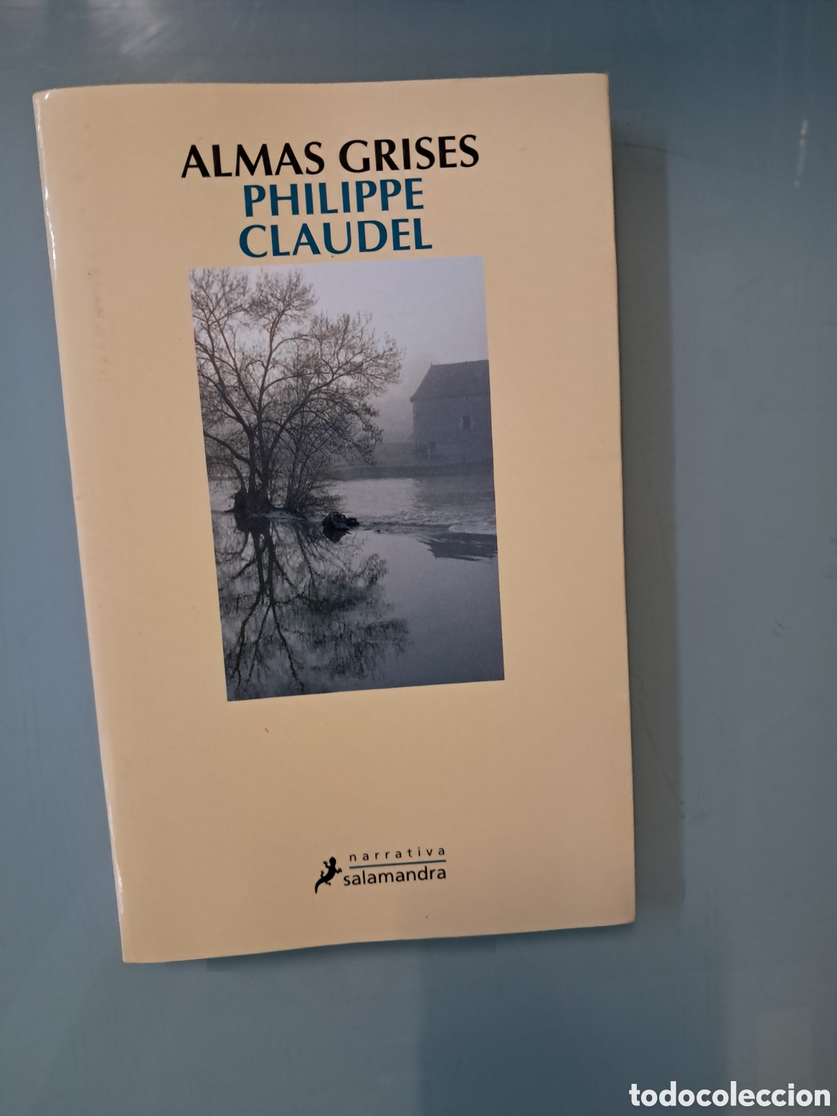 Libros: PHILIPPE CLAUDEL, Almas grises, Salamandra - Foto 1
