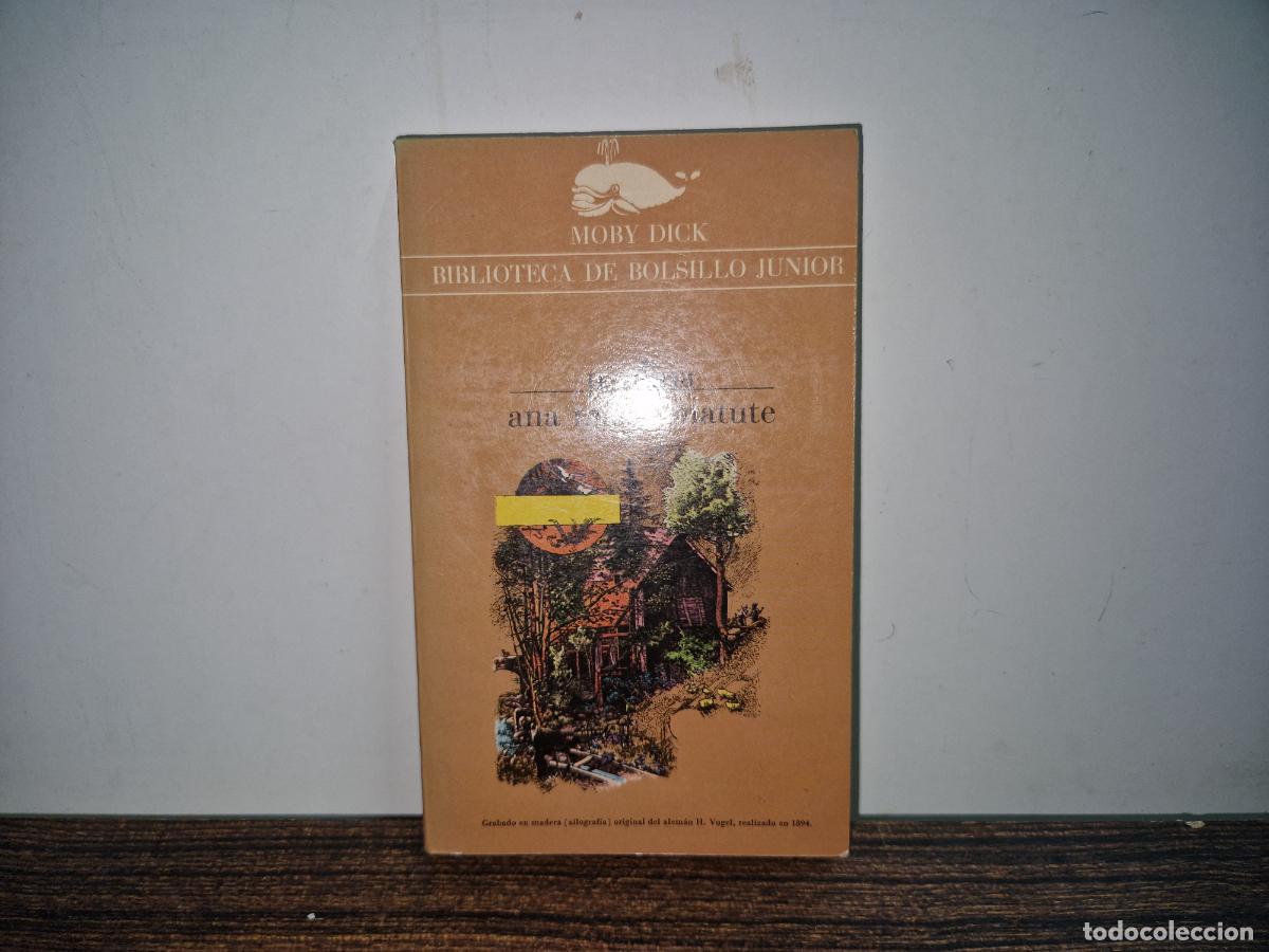 Libros: MOBY DICK. BIBLIOTECA DE BOLSILLO JUNIOR. PAULINA - Foto 1