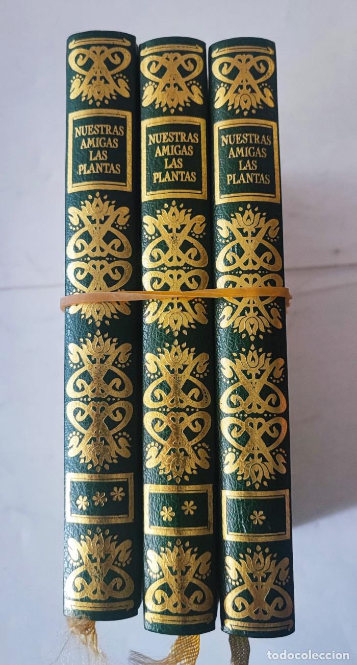 Libros: NUESTRAS AMIGAS LAS PLANTAS (3 TOMOS) - Daniele Manta - Foto 2