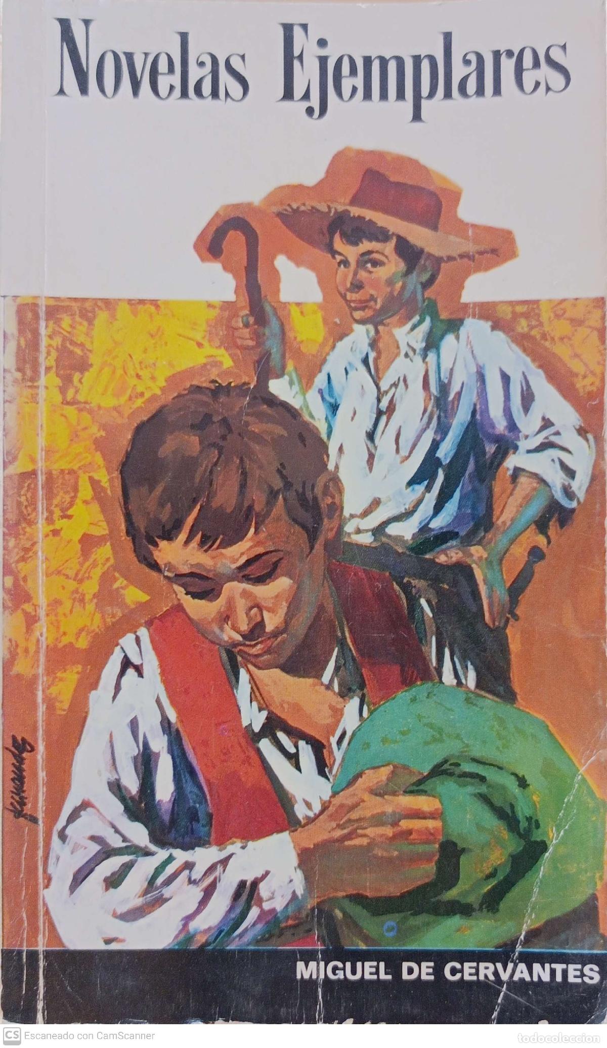 Libros: Novelas ejemplares - Miguel de Cervantes - Foto 1