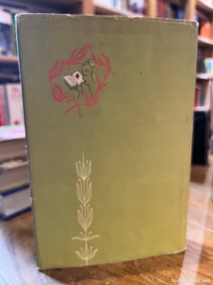 Libros: La caba&ntilde;a del T&iacute;o Tom - Harriet Beecher-Stowe - Foto 3