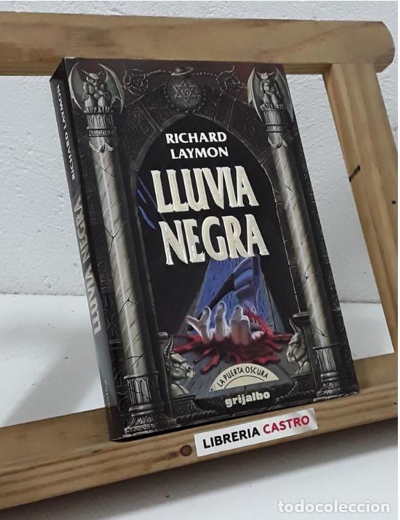 Libros: Lluvia negra - Richard Laymon - Foto 1