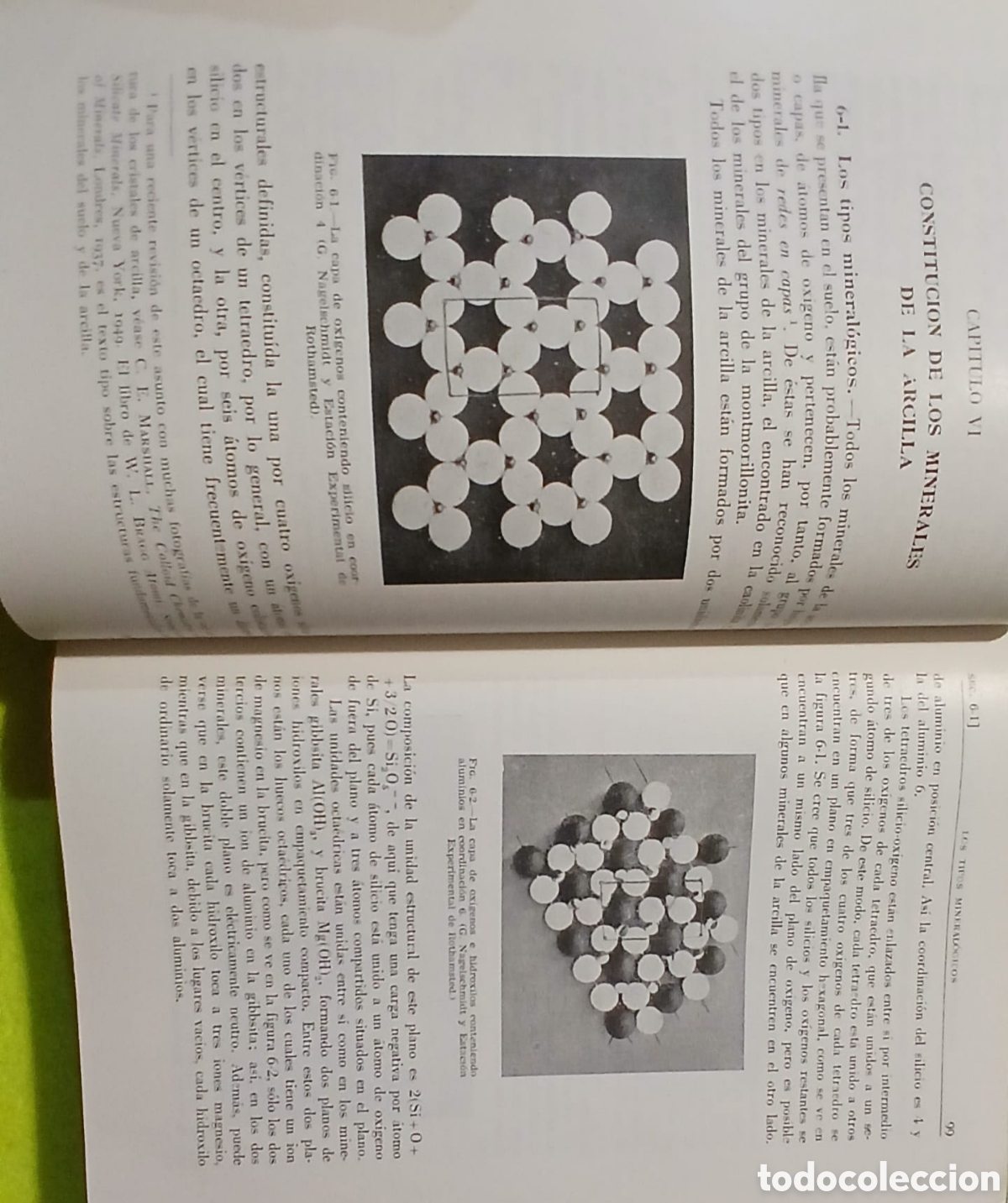 Libros: Suelo y fisiologia vegetal - Foto 4