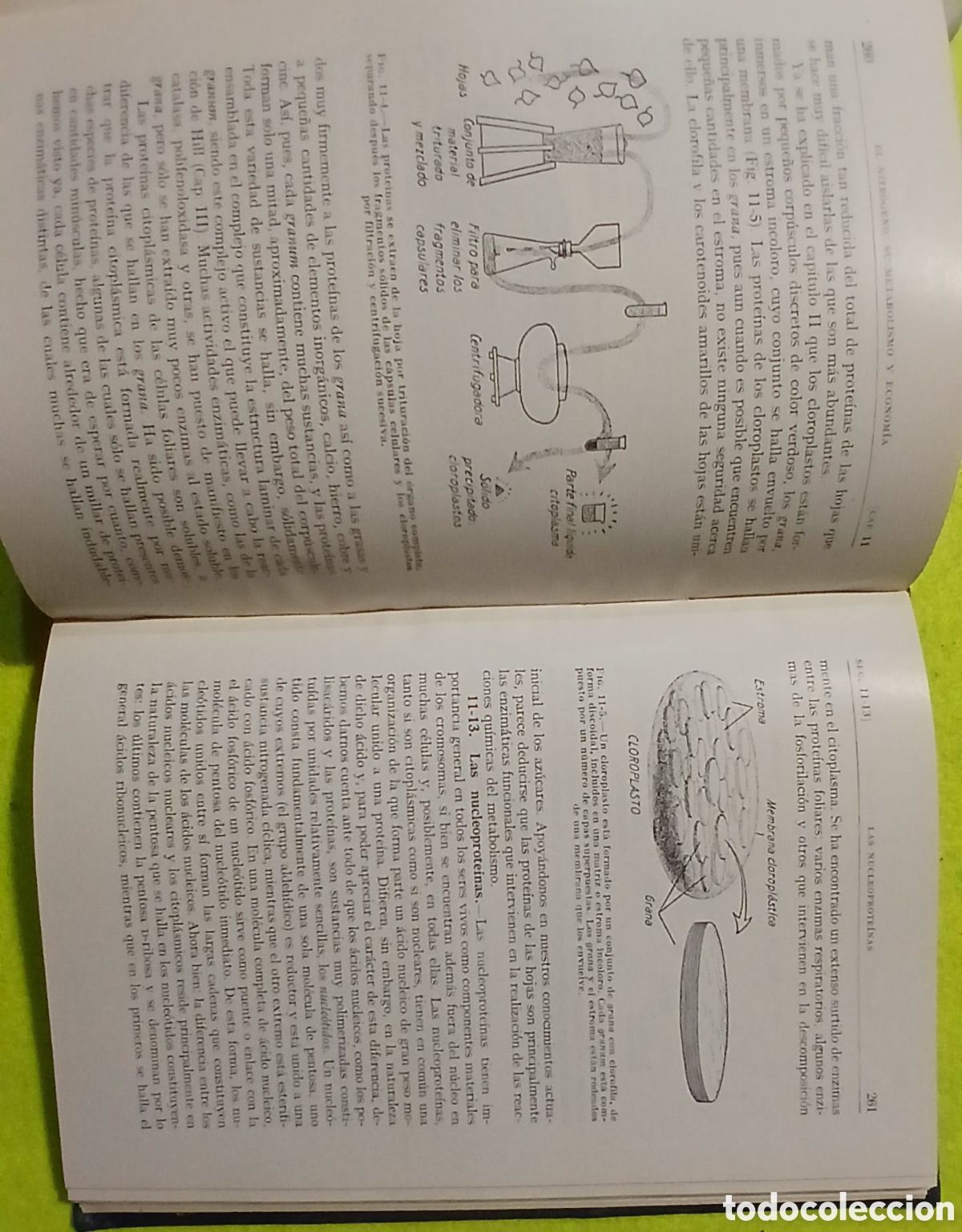 Libros: Suelo y fisiologia vegetal - Foto 6