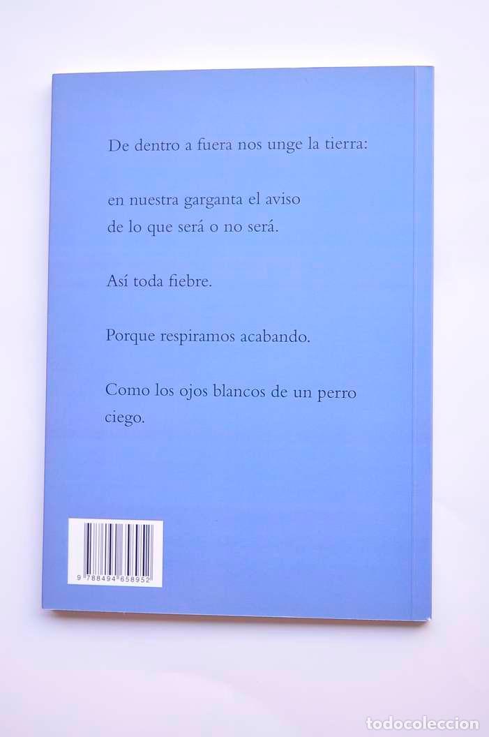 Libros: Arrecia - SU&Aacute;REZ, Ernesto - Foto 5